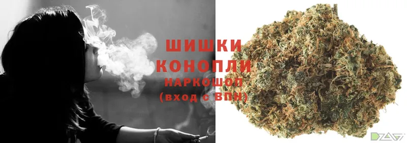 где можно купить наркотик  Бирюч  Бошки Шишки SATIVA & INDICA 